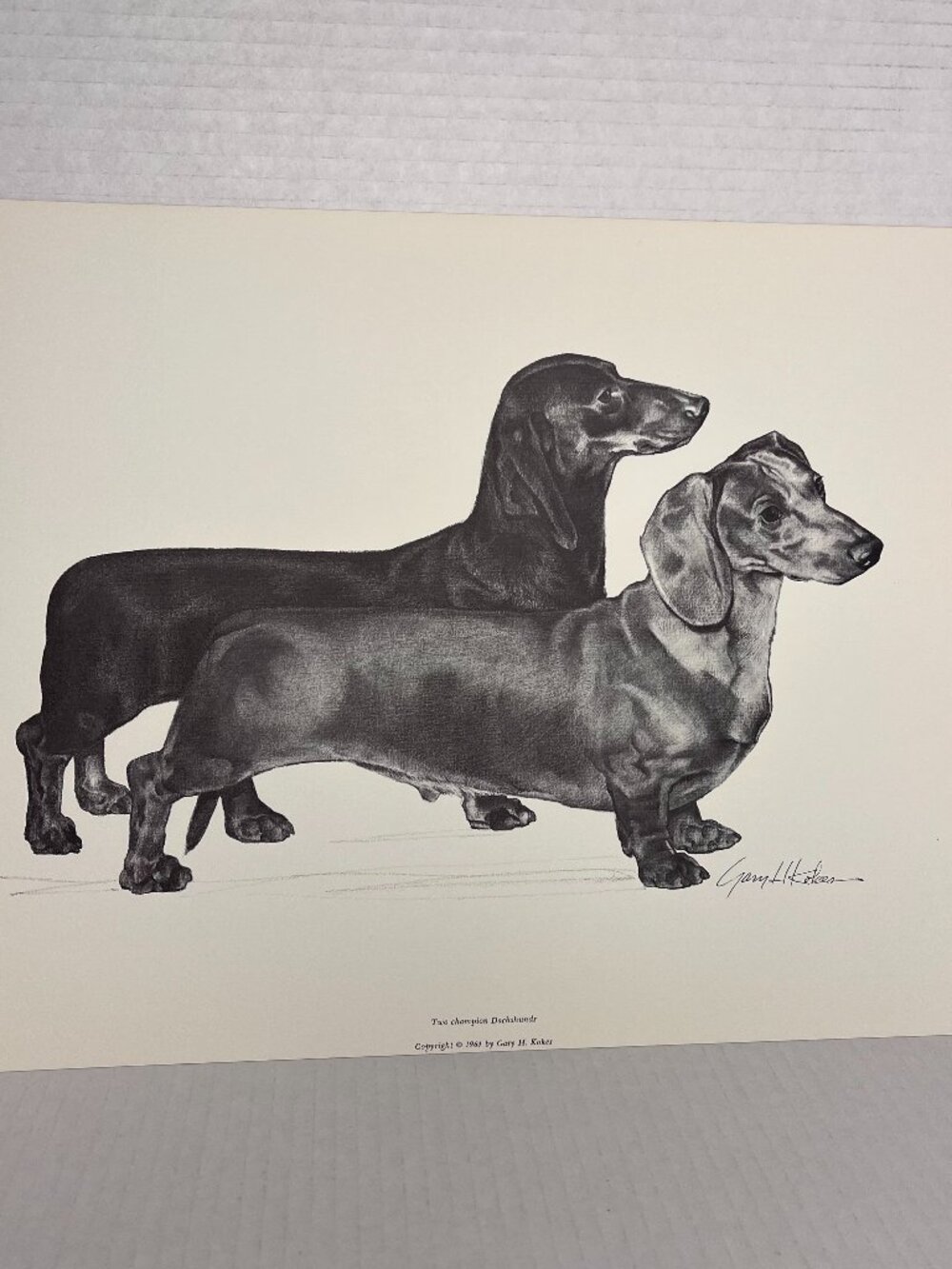 Dog Print of Charcoal Drawing by Gary H Kokes "Two Champion Dachshunds" 1964